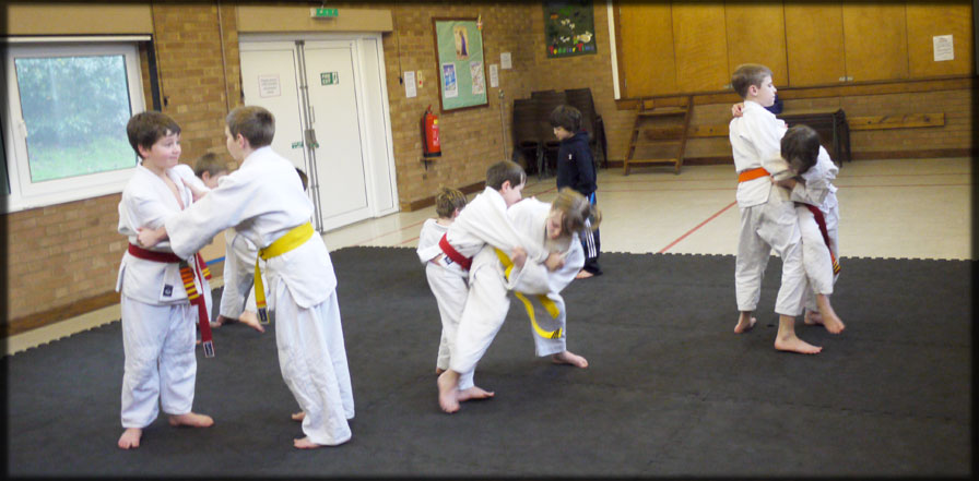 Judo Randori